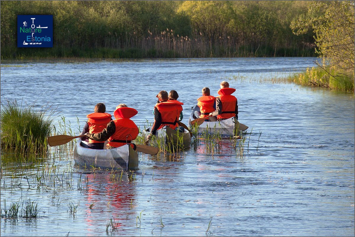 Nature Tours in Estonia canoeing 04