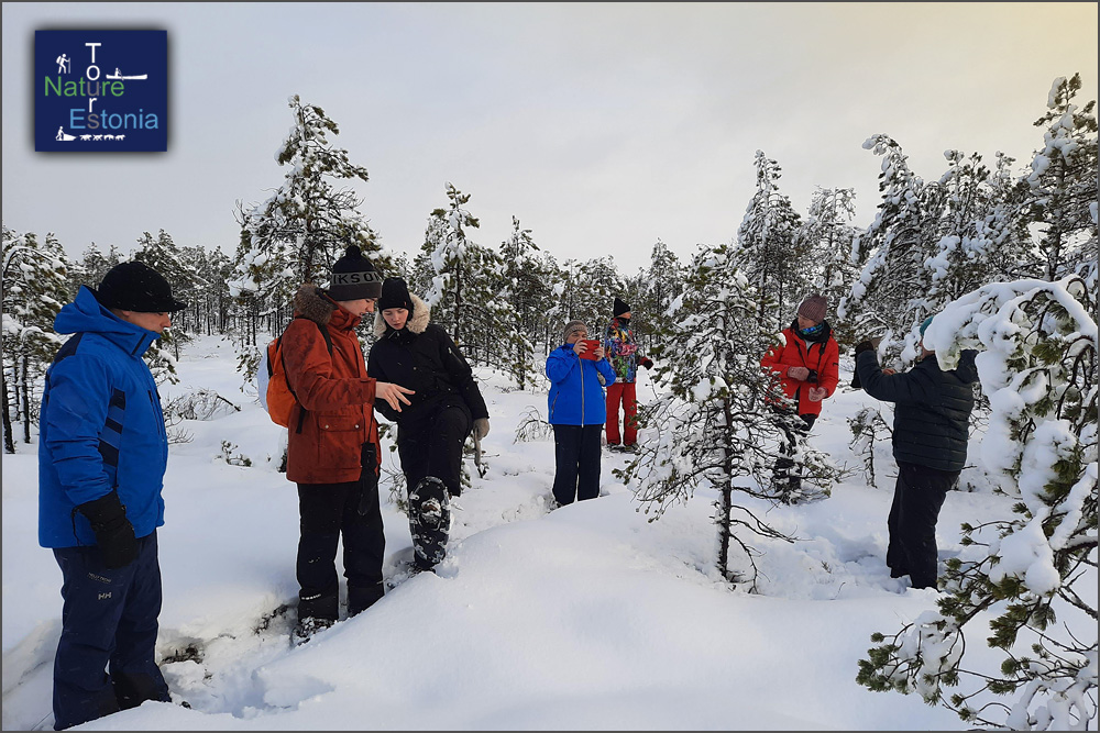 Snowshoeing-Nature-Tours-Estonia-02