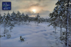 Snowshoeing-Nature-Tours-Estonia-03