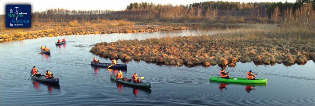 Nature Tours in Estonia canoeing202103