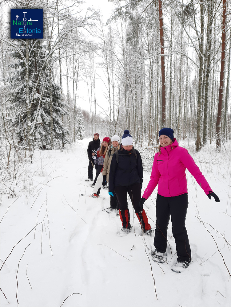 Snowshoeing in winter Nature Tours Estonia 1