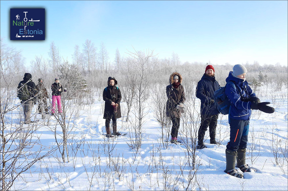 Nature-Tours-Estonia-raatsamatk-11