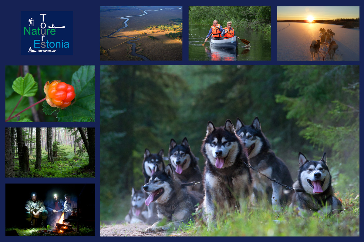Nature Tours Estonia nature tours estonia