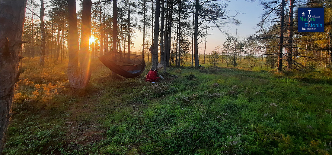 Varahommik ja uks hammok 1