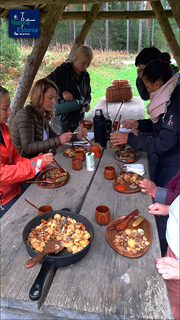 Wild flavours of Estonian mushrooms